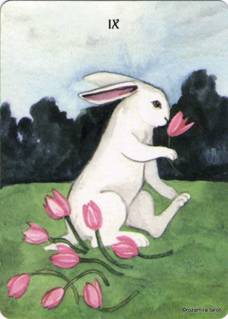 Rabbit Tarot